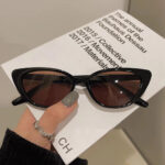 Retro Triangle Cat-Eye Sunglasses - Brown